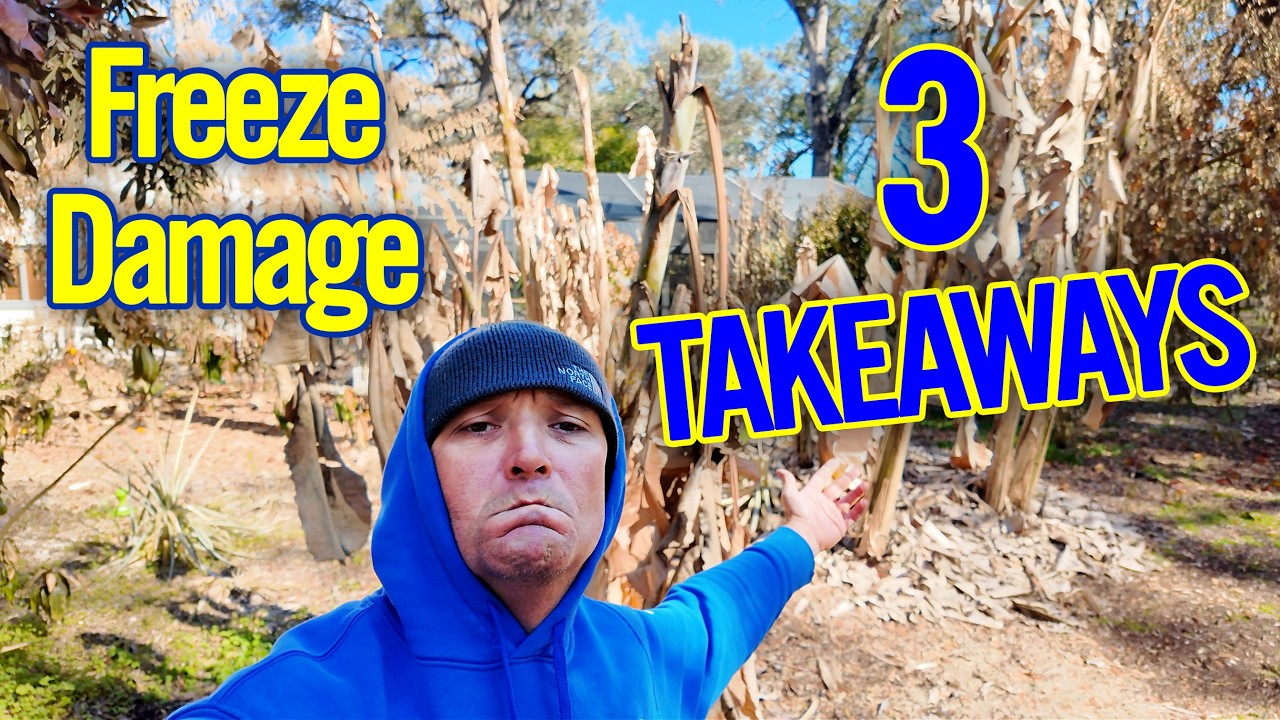 Freeze Damage Reality Check: Rethinking Our Food Forest