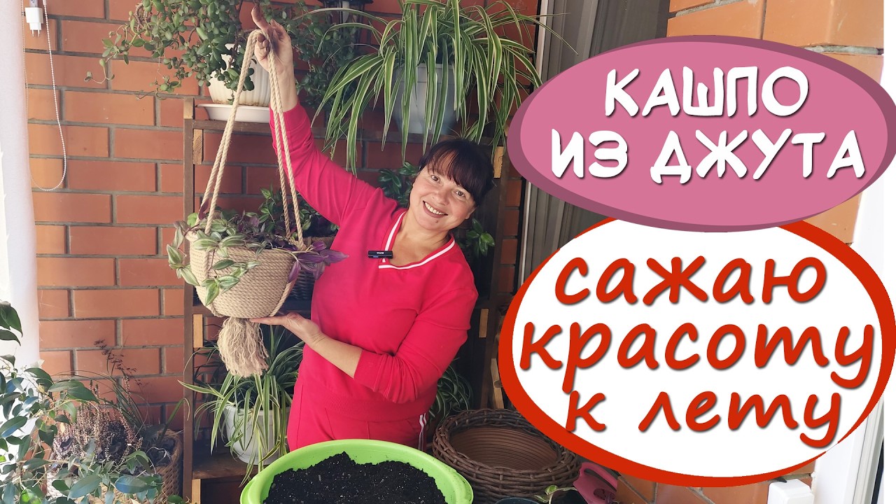 ПОДВЕСНОЕ КАШПО из ДЖУТА. Традесканции, хлорофитум и пеларгония для украшения беседки!
