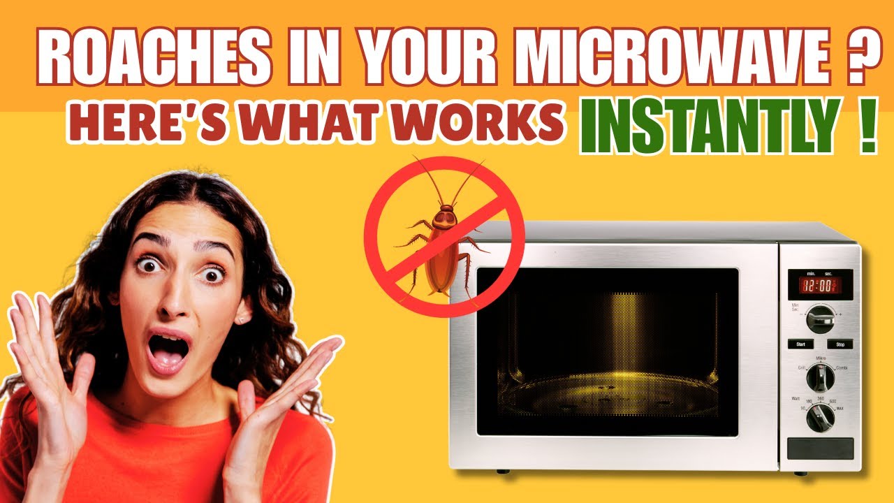 How to Remove Cockroaches from Microwave?