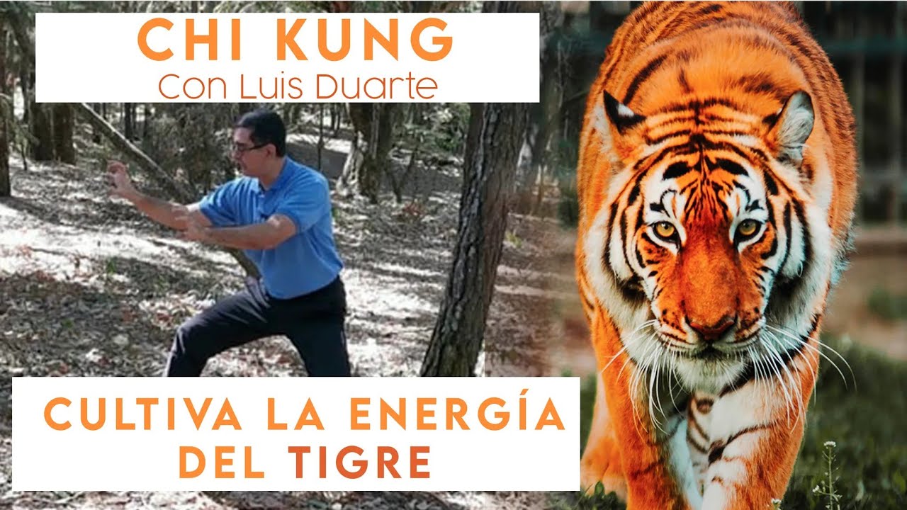 La mejor forma de Activar la ENERGIA DEL TIGRE en este año (Tigre de Agua)