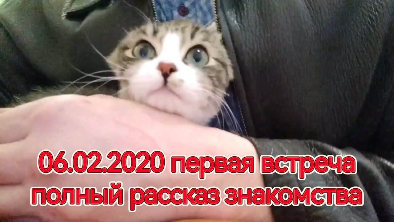 Годовщина первой встречи
