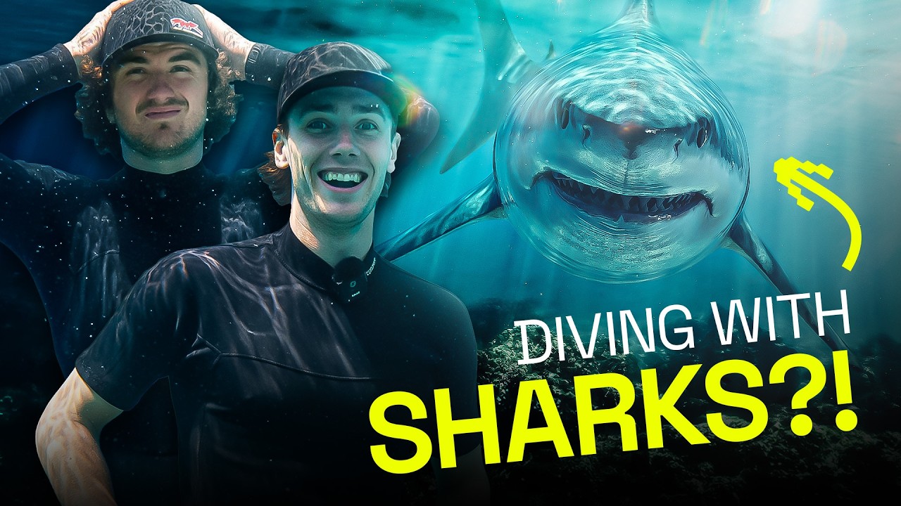 We Got Way Too Close To Huge Sharks | World Supercross Shark Diving