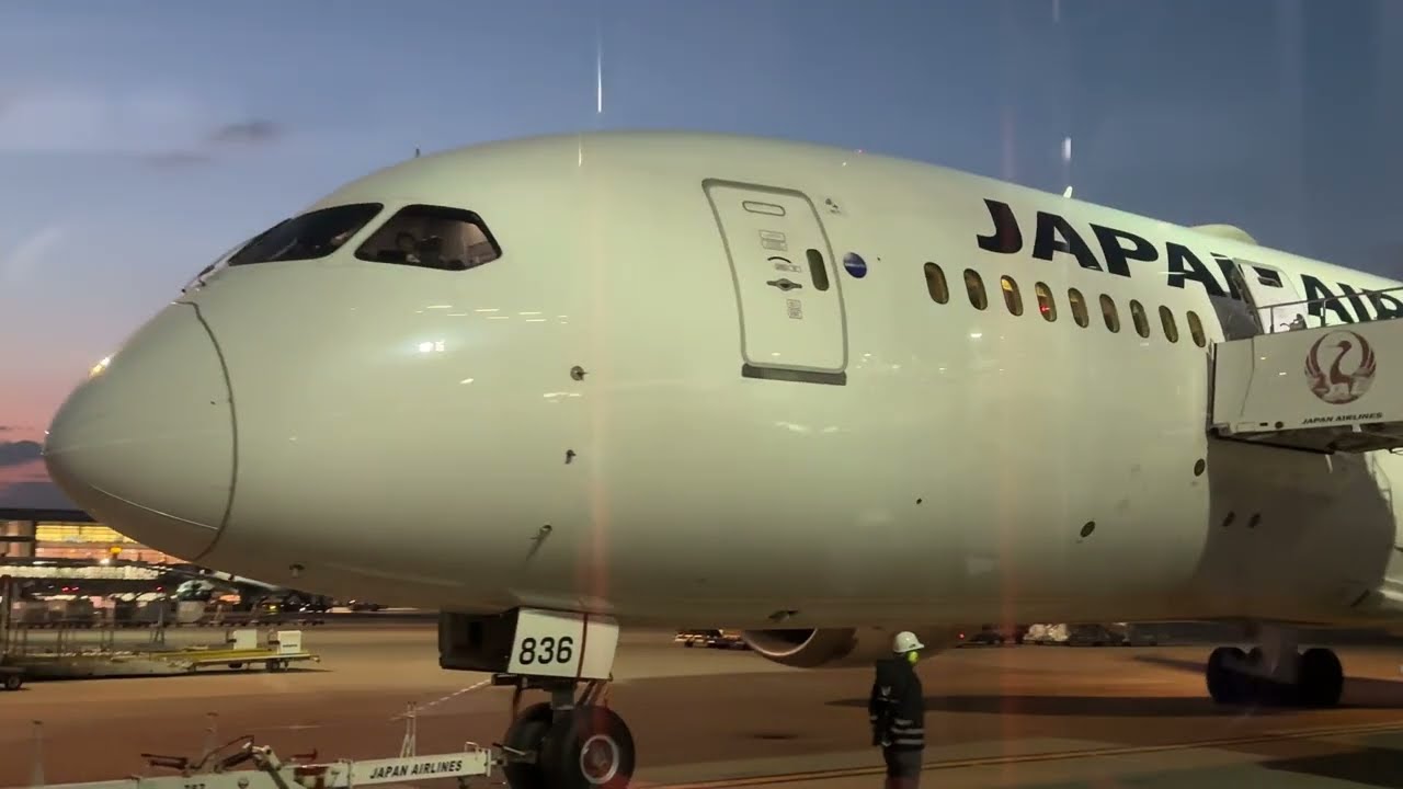 JAL 787-8 Economy - Tokyo Haneda to San Francisco - Japan Airlines 🇯🇵