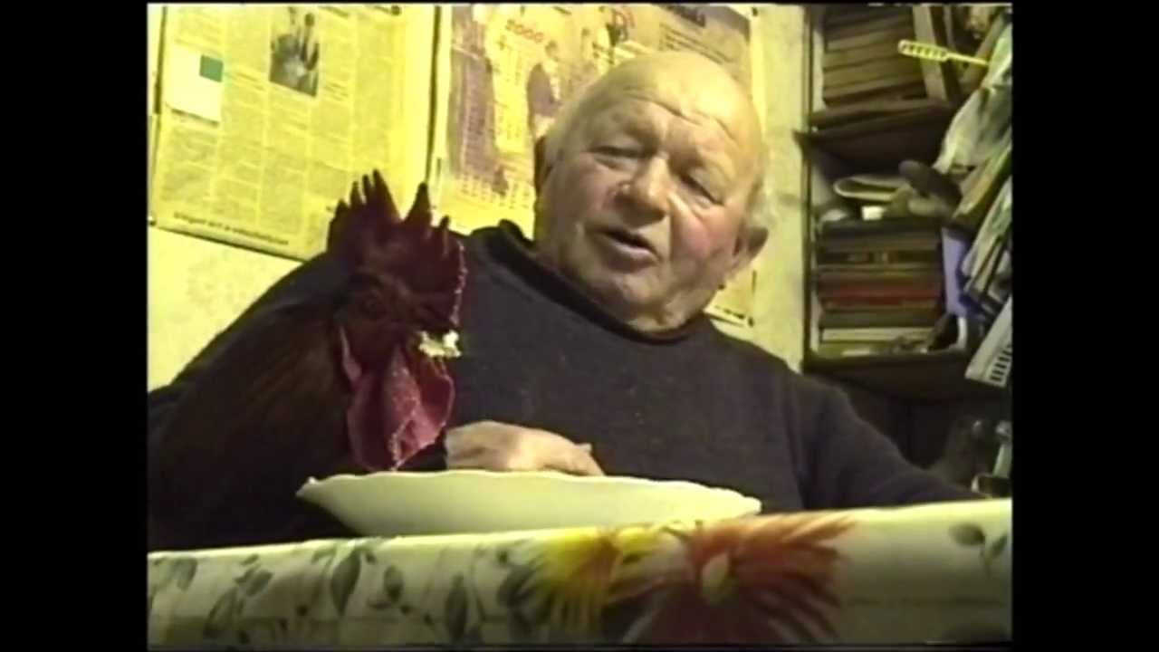 Vince, a kakas, t&uacute;r&oacute;t zab&aacute;l 2002