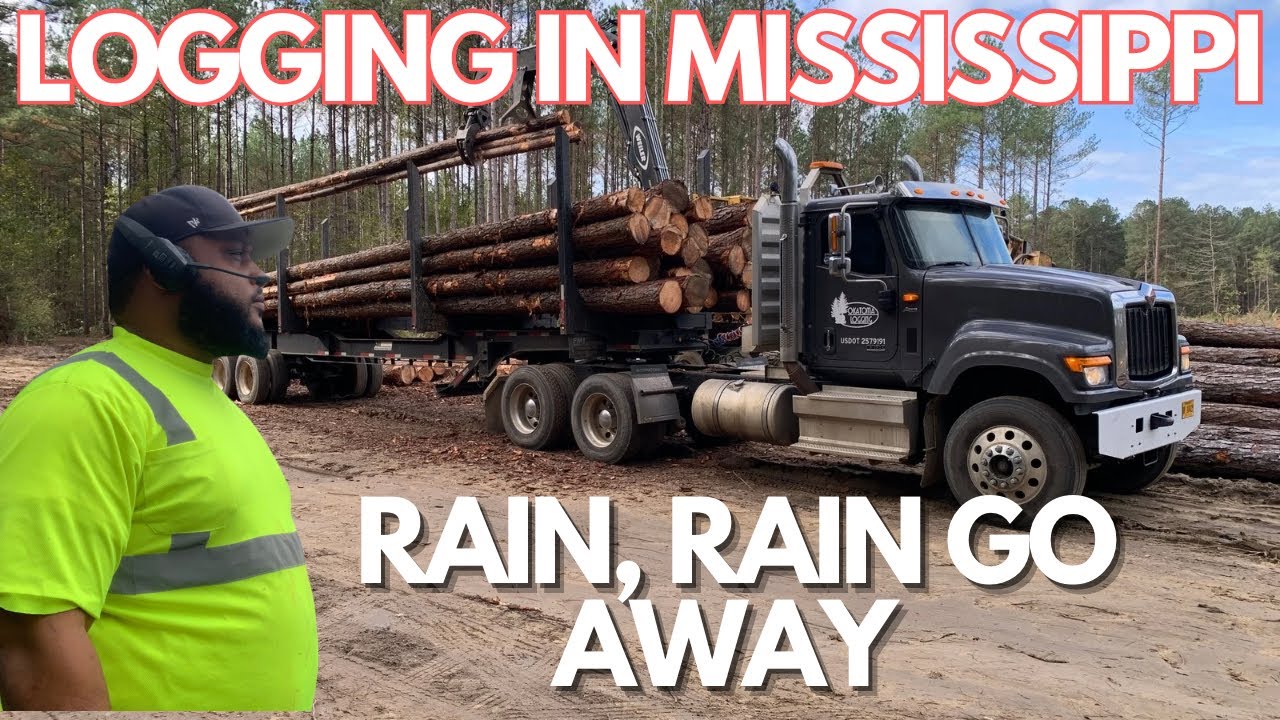 Logging in Mississippi || Trying to get my loads after some heavy rain #truckdriver #trucking #log