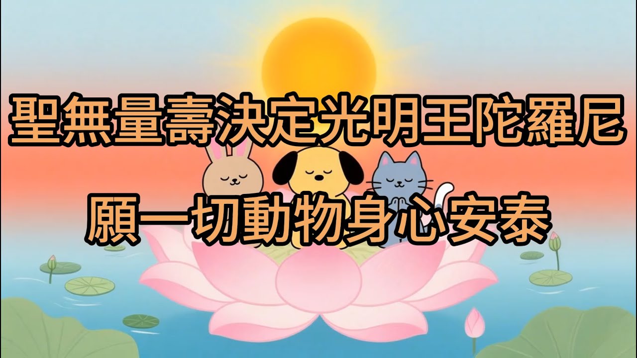 寵物祈福：聖無量壽決定光明王陀羅尼49遍【福來運轉】｜願一切動物身心安泰 Infinite Life & Light King Dharani  | Blessings for All Animals