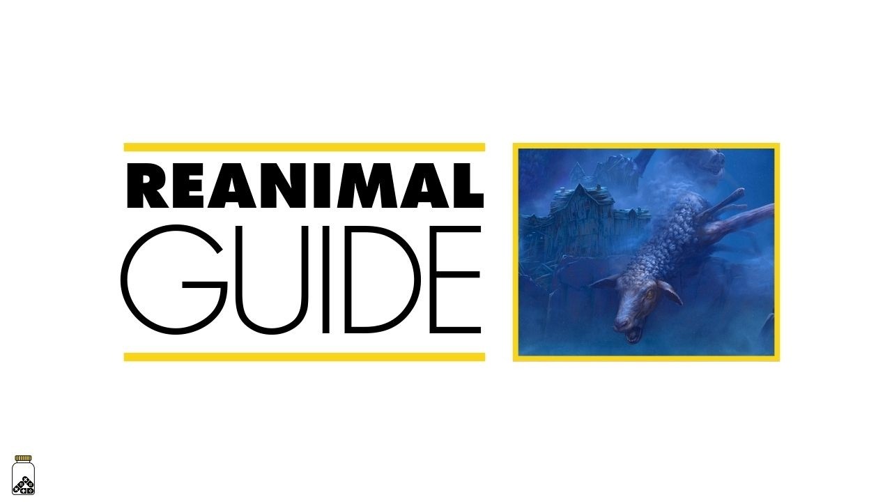 Руководство по уходу за животными | Пошаговое руководство по использованию всех масок |