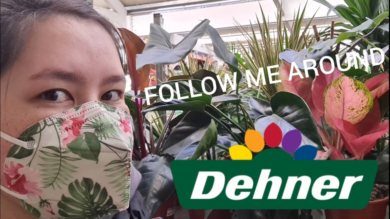 Follow Me Around 🎥 | Schleswig-Holstein 🇩🇪 | Dehner Kiel🌱