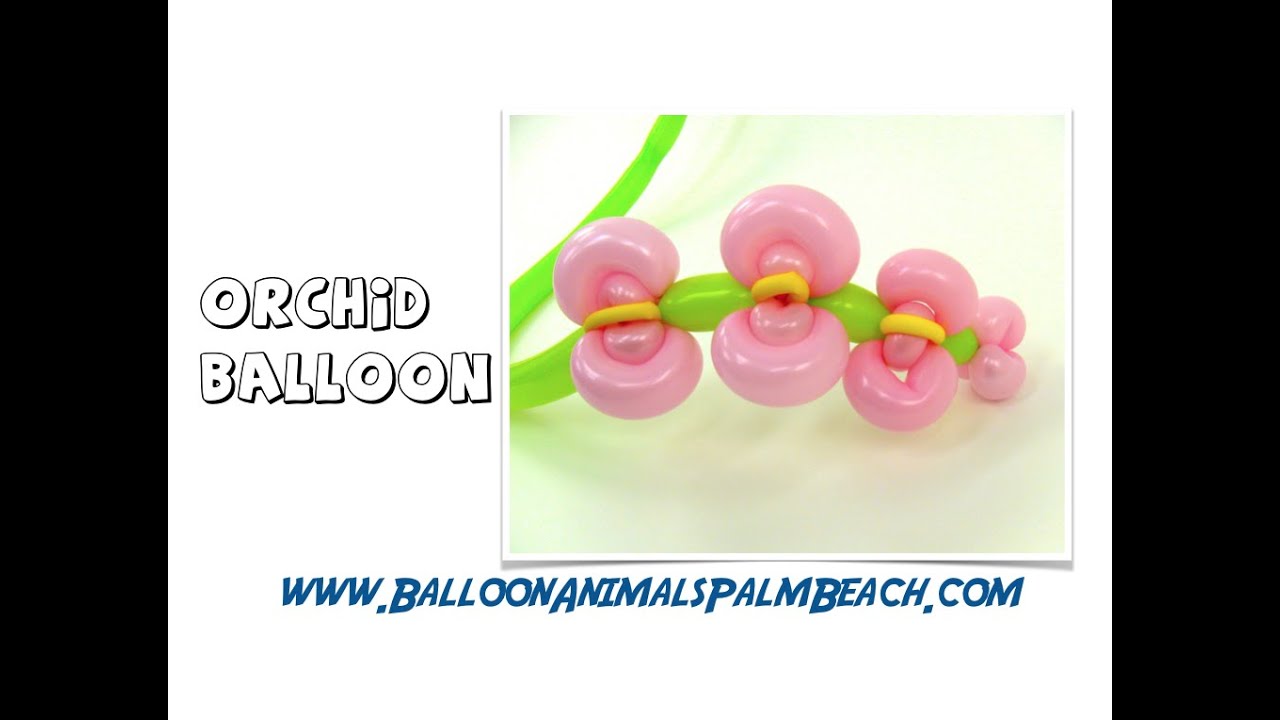 How To Make An Orchid Balloon - Balloon Animals Palm Beach