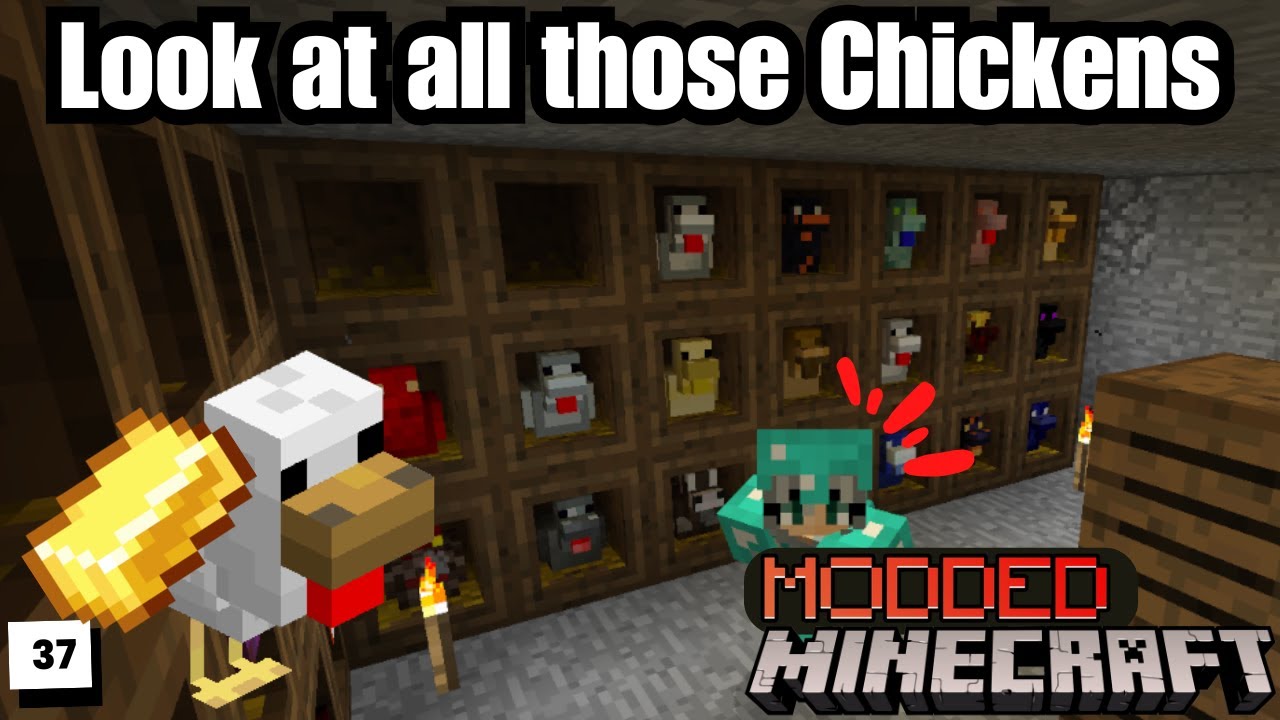 Look at all those Chickens... - StoneBlock 37