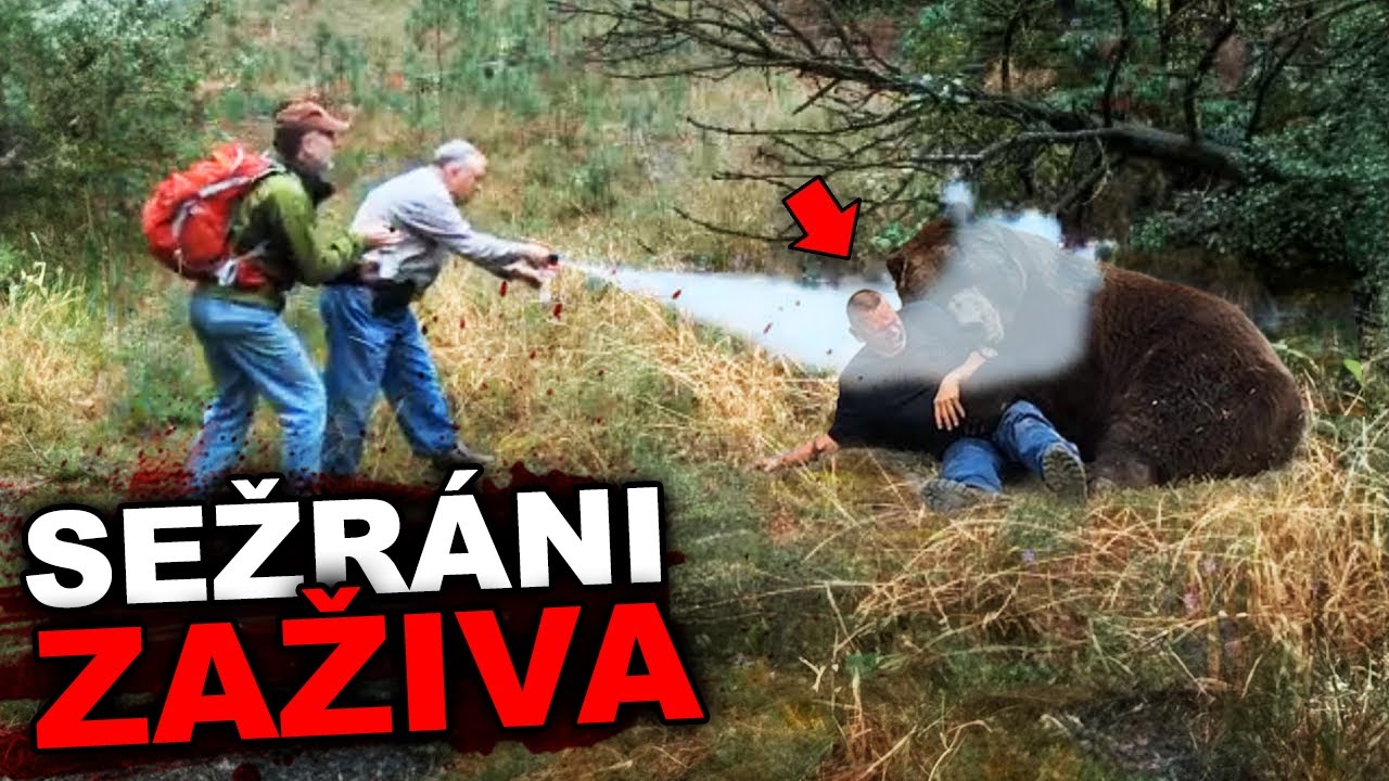 3 LIDÉ SEŽRÁNI ZAŽIVA PO POUŽITÍ MEDVĚDÍHO SPREJE!