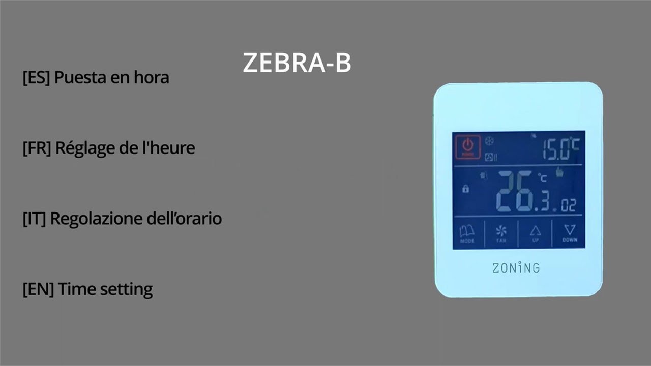 ZEBRA TIME SETTING