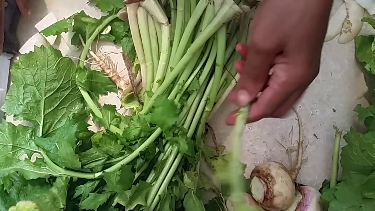 How To Prepare / Cook / Mustard / Turnip / Greens / Step By Step
