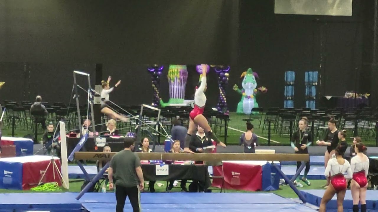 Beam 8.500 Elite Core Cup L10 3-2-25