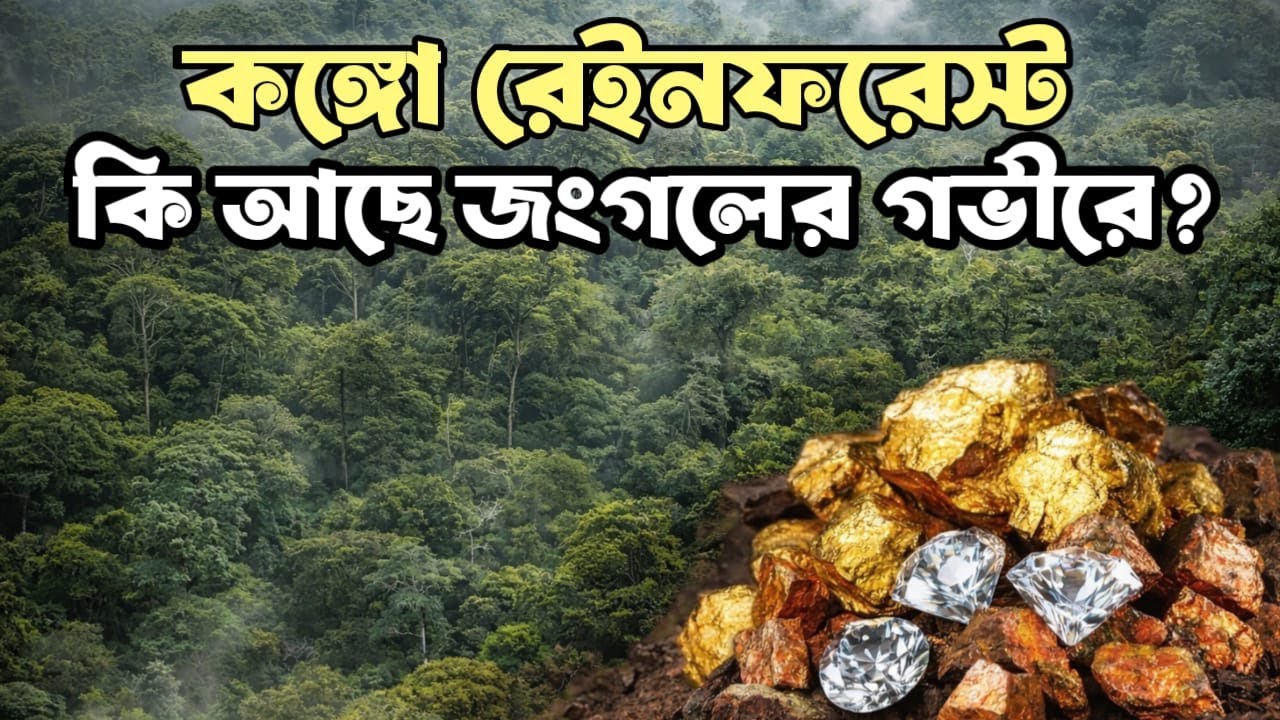 এই বনই কি পৃথিবীর আসল ধনভাণ্ডার? কঙ্গো রেইনফরেস্টের অজানা সত্য এবং আসল রহস্য