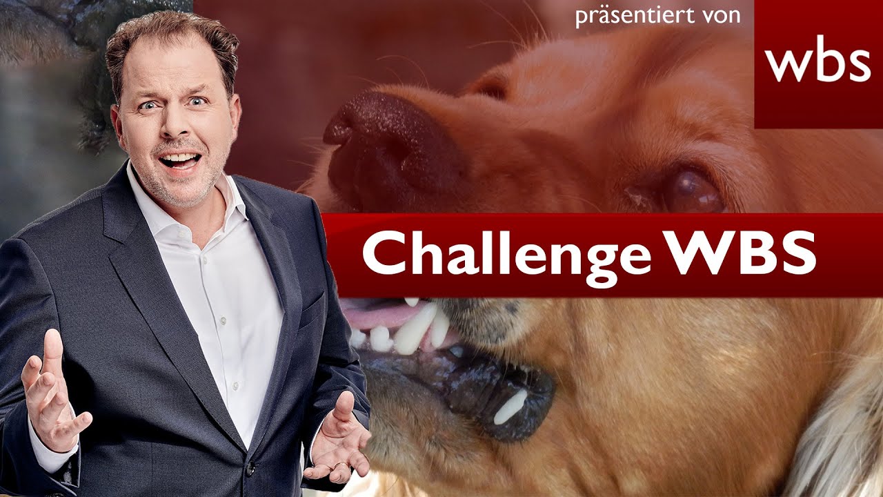 Mein Hund verletzt Einbrecher: Hafte ich dafür? | Challenge WBS Rechtsanwalt Christian Solmecke