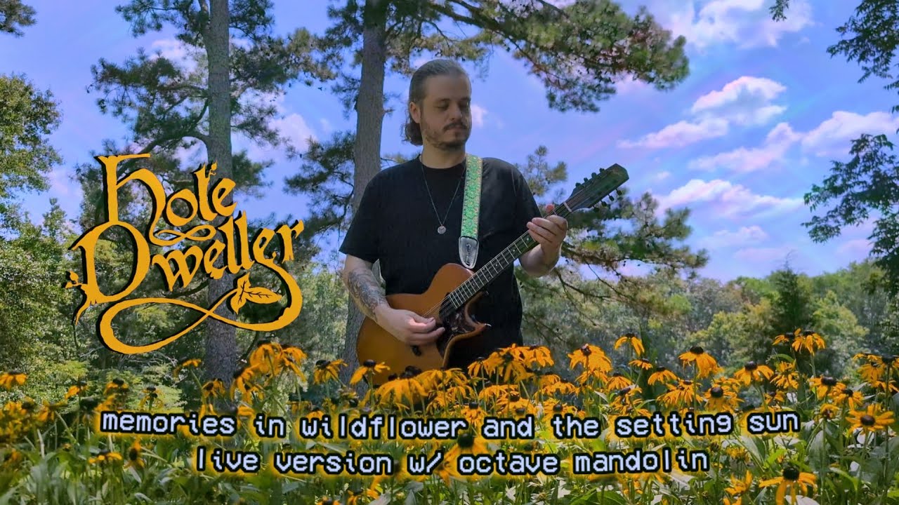 Hole Dweller - Memories in Wildflower and the Setting Sun (Fantasy Dungeon Synth)