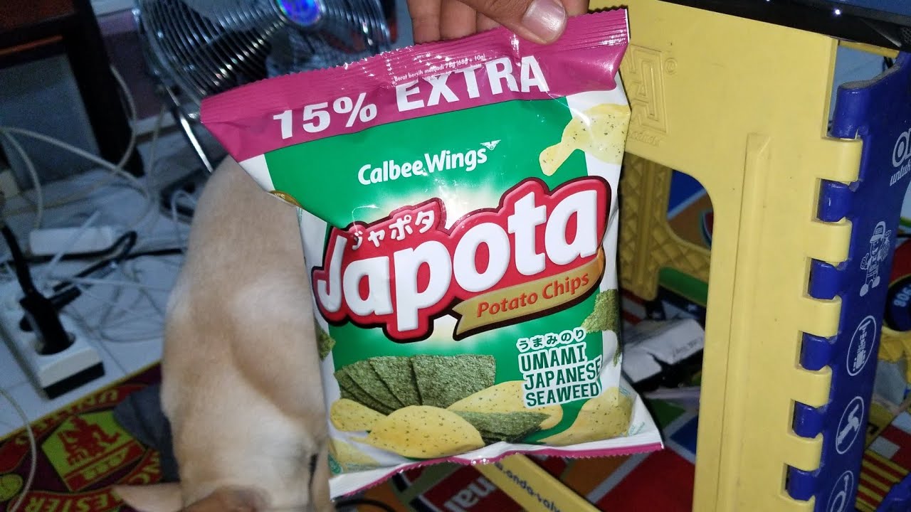 Calbe Wings Japota - 13 August 2019
