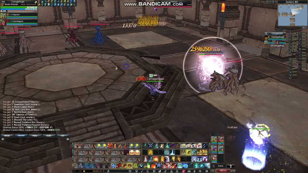 Rappelz MasterBreeder WP + DG combo