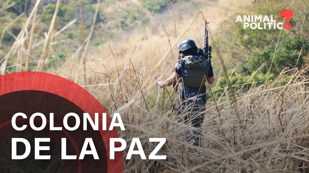 Coahuayana: corazón de la resistencia contra el narco en Michoacán