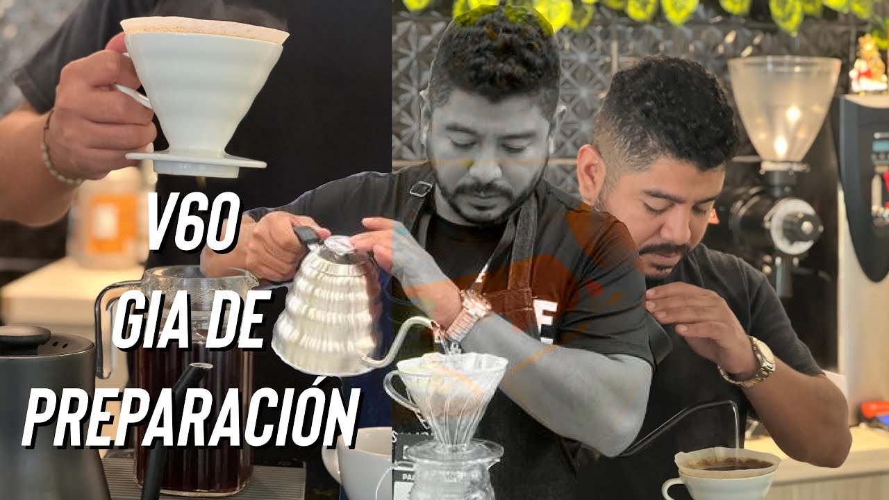 Guía de preparación de café Hario V60