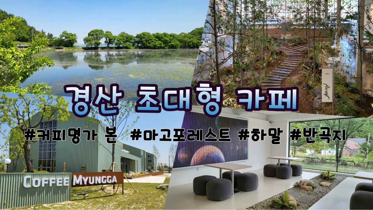경산초대형카페 #커피명가 본 #마고포레스트 #하말 #반곡지