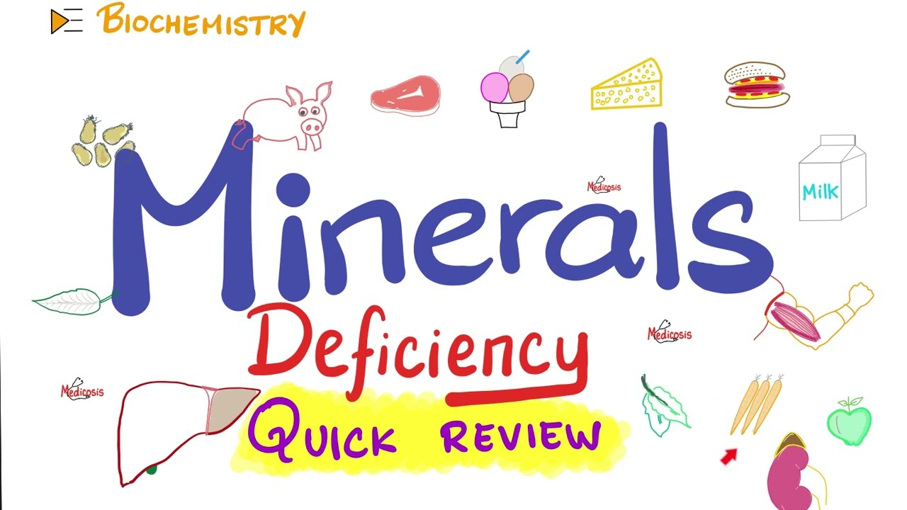 5 Minerals in 12 Minutes - Quick Review - Diet & Nutrition