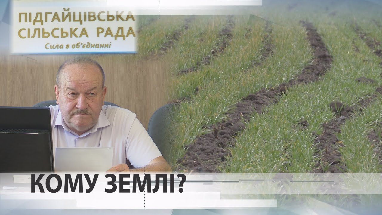 В Підгайцях, окрім єдиного фермера не знайшлось претендентів на 80 гектарів землі