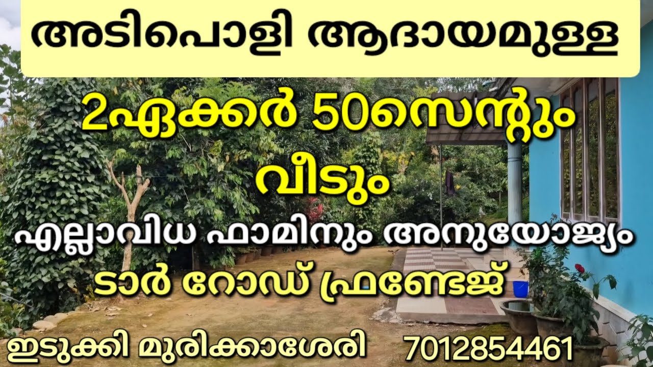 അടിപൊളി ആദായമുള്ള 2ഏക്കർ 50സെന്റും വീടും.. ടാർ റോഡ്. കിണർ വെള്ളം. ഇടുക്കി മുരിക്കാശേരി 7012854461👇