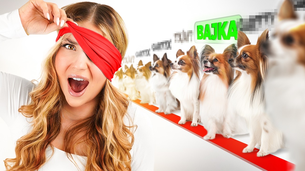 ROZPOZNAJ PRAWDZIWĄ BAJKĘ!!!