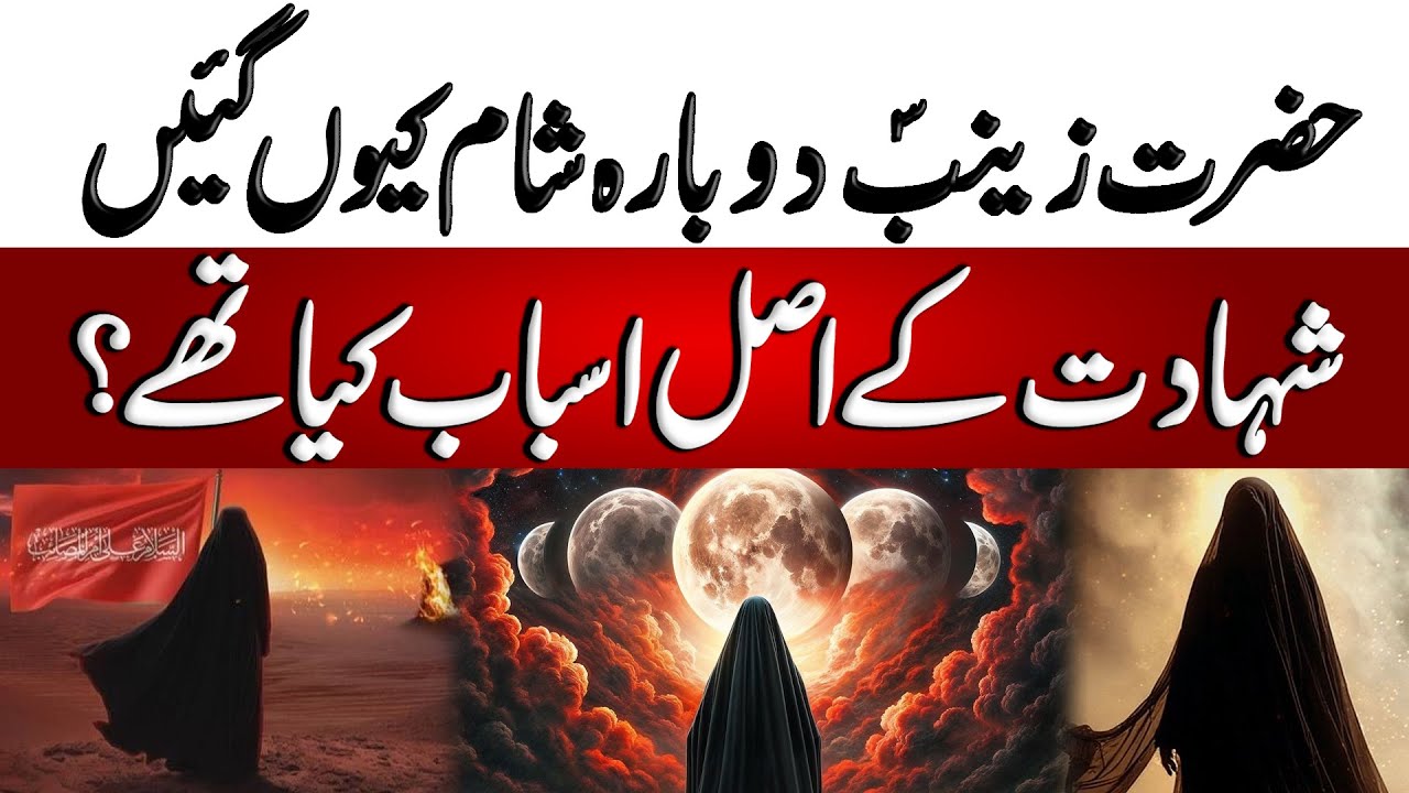 Hazrat Zainab Dobara Sham Kyun Gain | حضرت زینب دوبارہ شام کیوں گئیں | BOH (old)