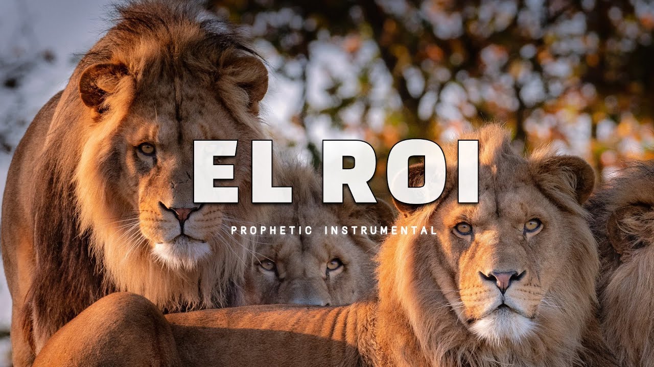 Prophetic Worship Music - EL ROI Intercession Prayer Instrumental