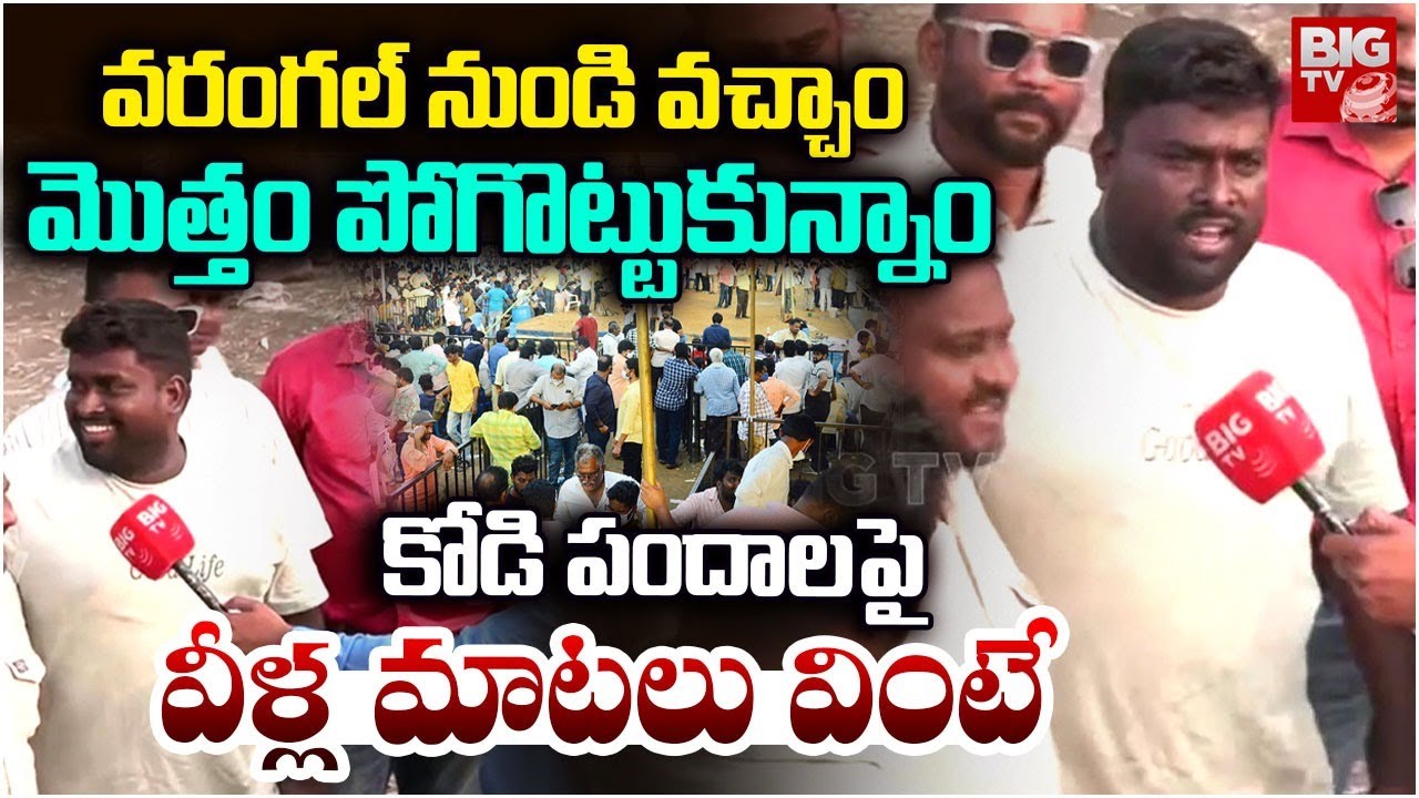 Bhimavaram Kodi Pandalu 2026 | తెచ్చిన డబ్బంతా పోగొట్టుకున్నాం | Sankranthi 2026 | BIG TV