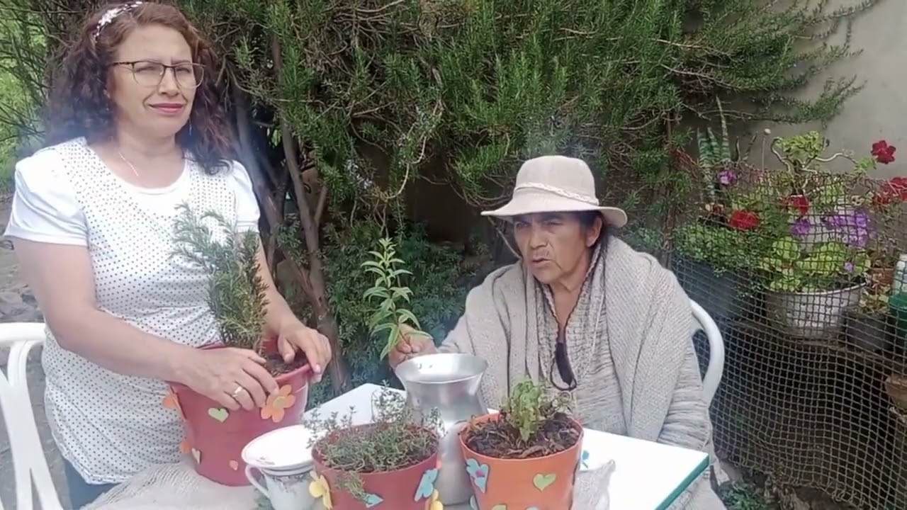 Conexiones saludables Proyecto