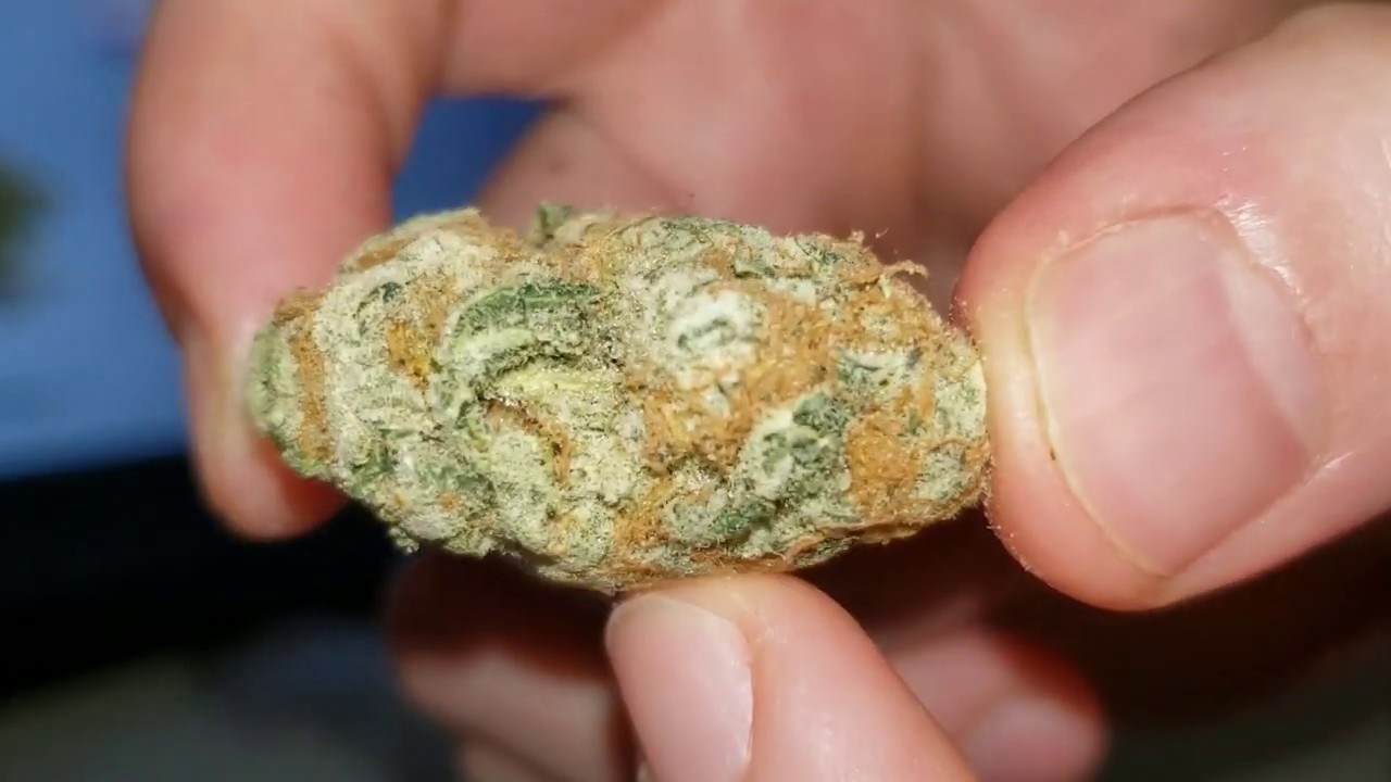 STRAIN REVIEW 084: purple drank breath AAAA - Distillatedirect