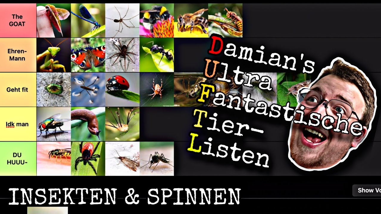 Die Ultimative Insekten Tierlist / DUFTL / # 1