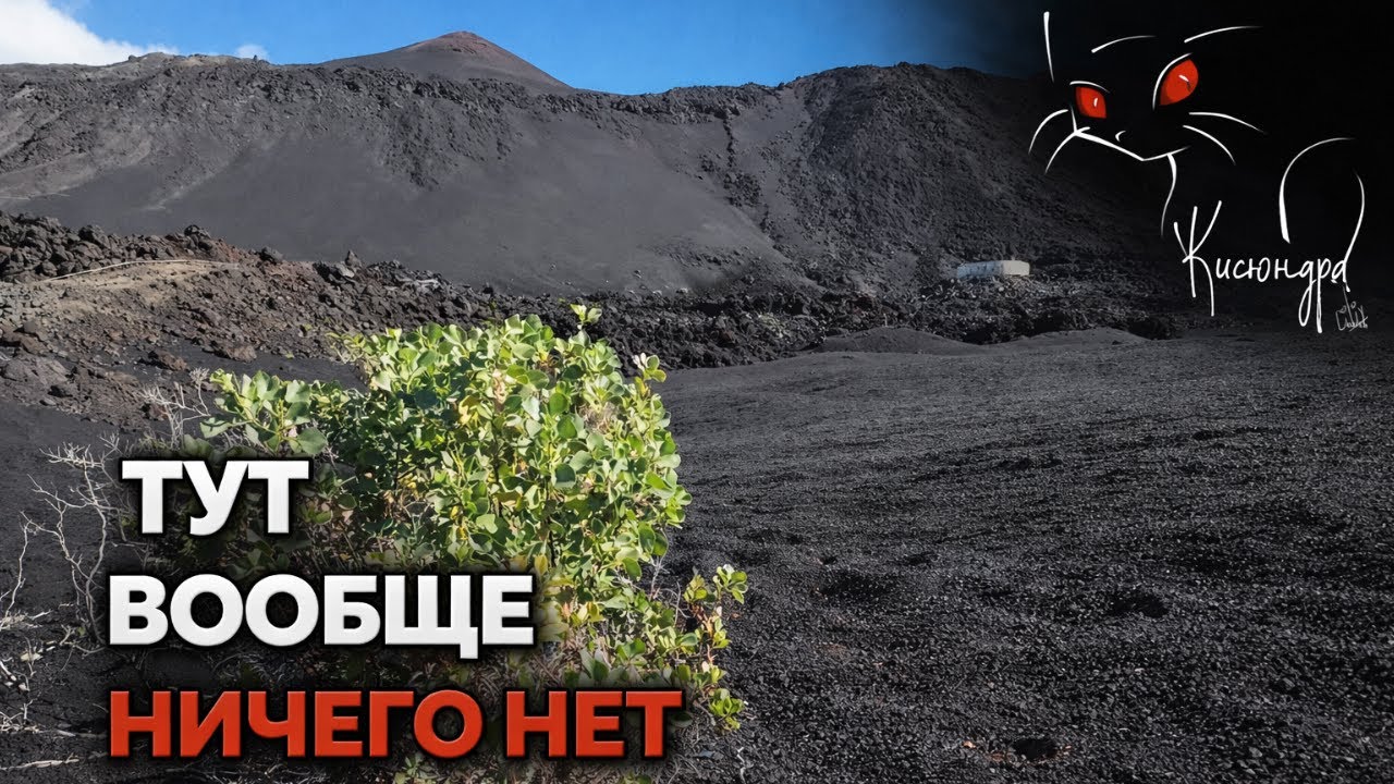 МЕНЯ ВЫПЛЮНУЛ ВУЛКАН 🌋 | Ла Пальма, дорога сквозь пепел и новая жизнь