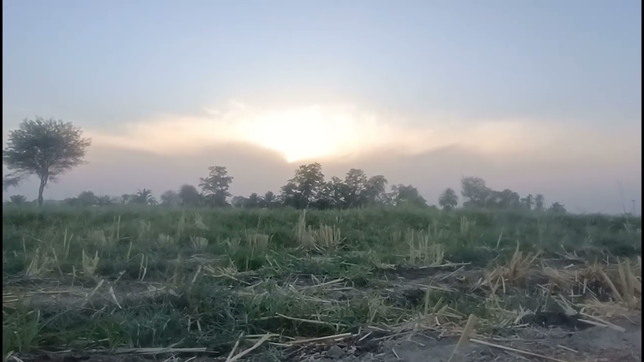 Beautiful sunset view#sunset#nature#village life#shorts#grow account#viral shorts.