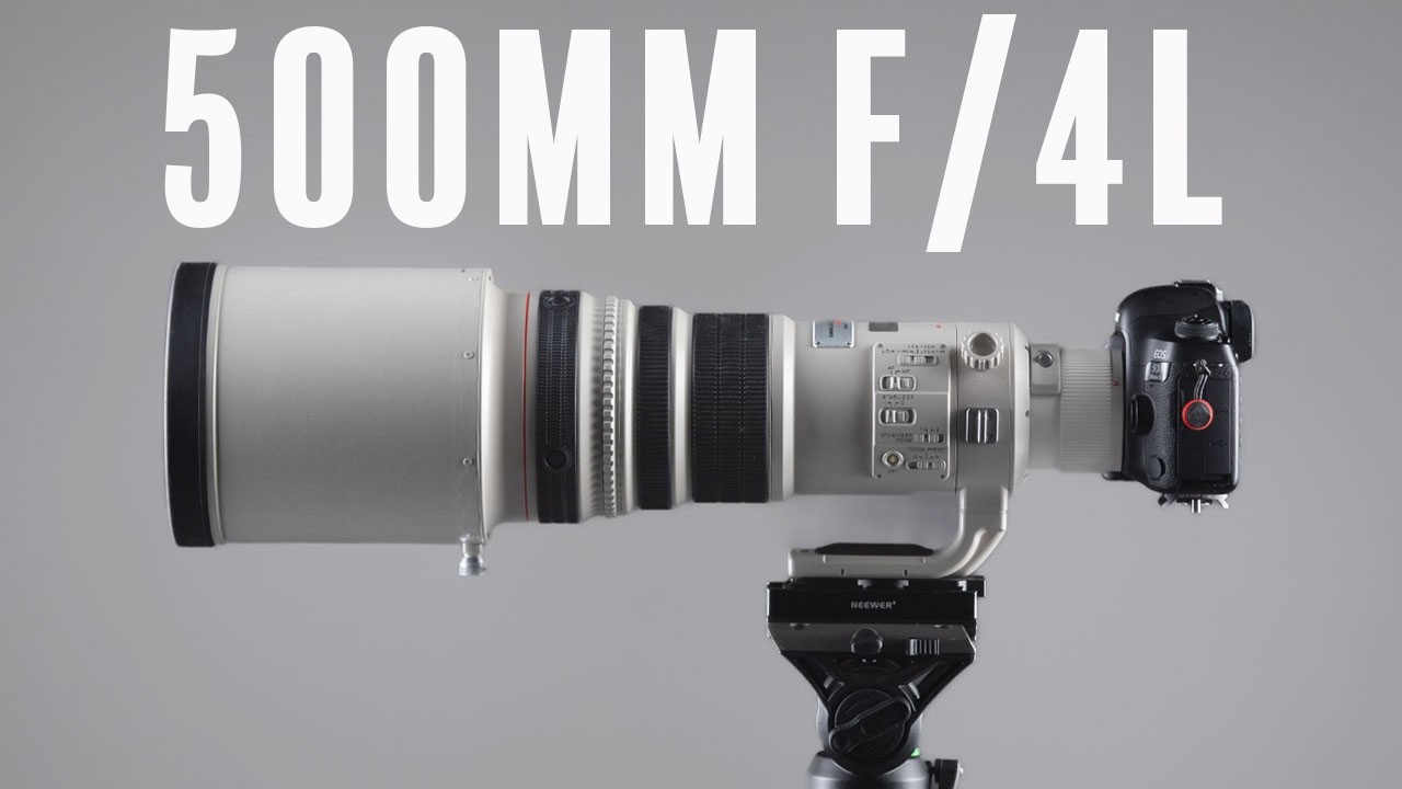 This 26-Year-Old 500mm f/4 Lens STILL SLAPS!
