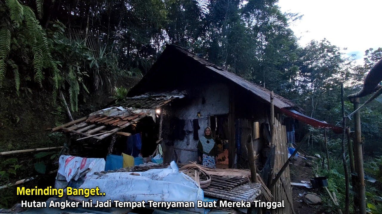 Bikin Degdegan.. Saat Menjelang Malam di Rumah Sepasang Lansia Yang Tinggal di Hutan Angker