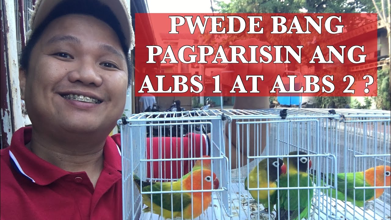 ALBS 1 AT ALBS 2 PWEDE BANG PAGPARISIN?