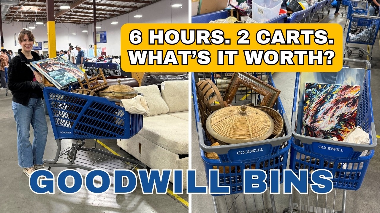 I SPENT 6 HOURS AT THE GOODWILL BINS! | Find out what the HAUL with worth!