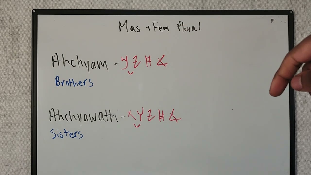 masculine and feminine plurals