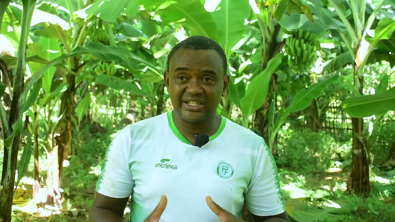 Comores Agriculture : FILM DOC DIMA DJEMA réalisé par agence Mnaracom