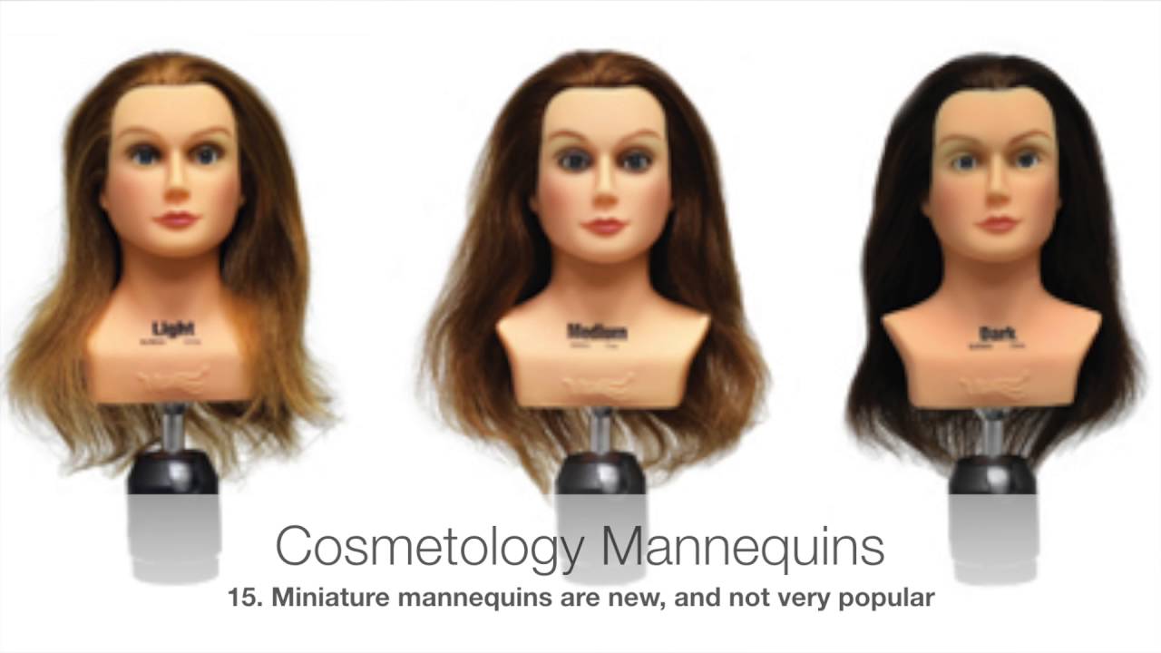 Part 3 of 3 - All About Cosmetology Mannequin Heads