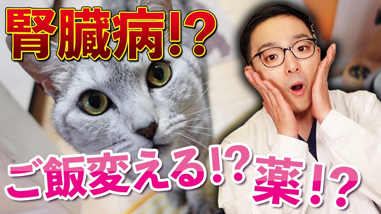 【どうする？？】健康診断の血液検査で腎臓の数値が高いと言われたら！？