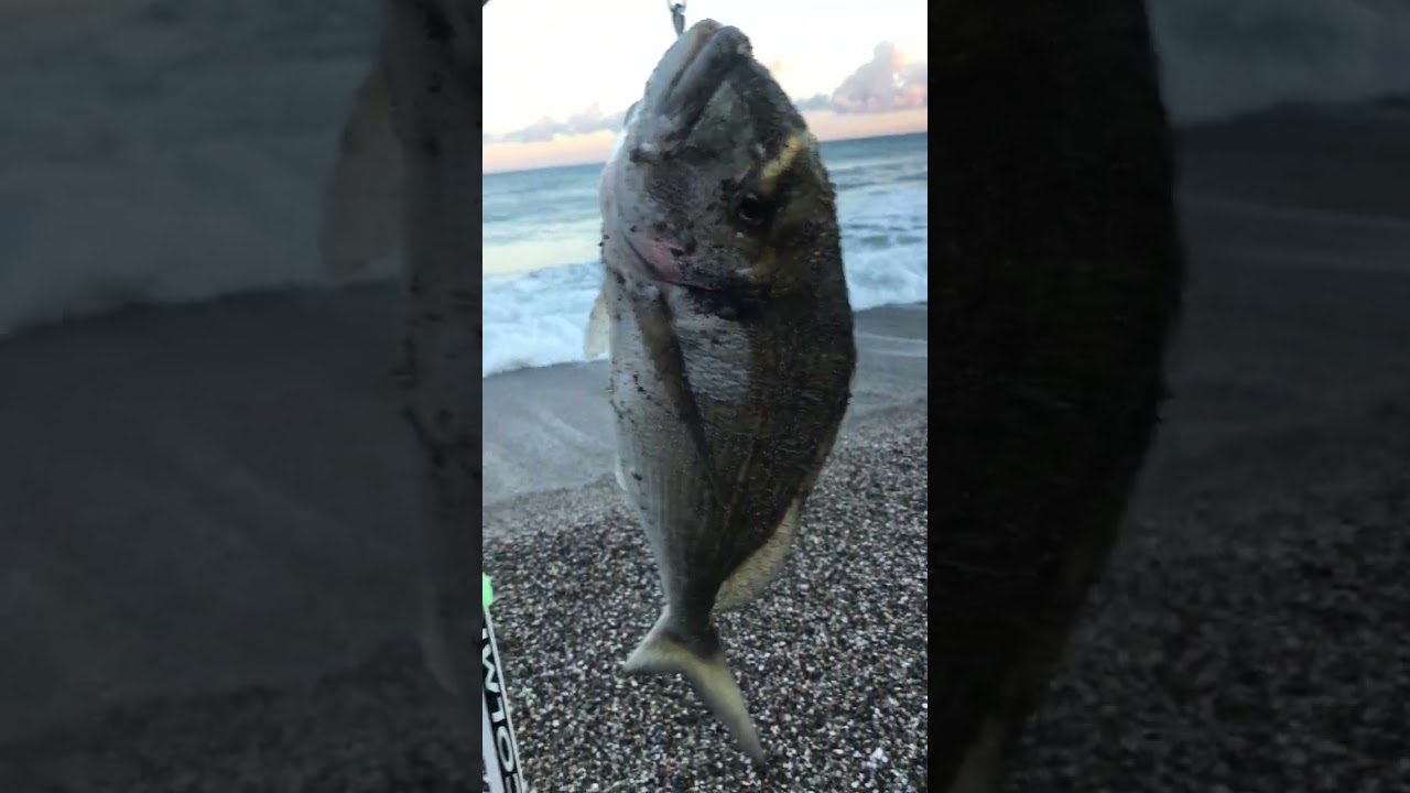 St. Petersburg Fishing: Weathering the Storm