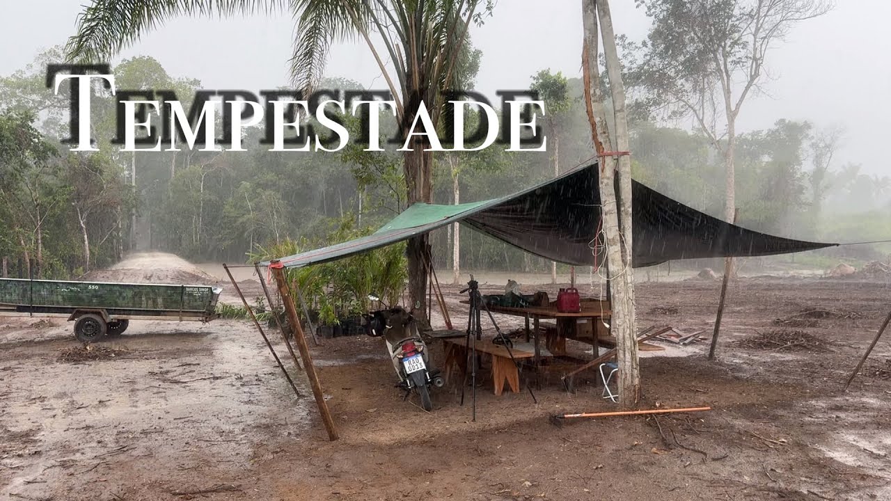 TEMPESTADE terrível, Tive que segurar o BARRACO pro vento não levar, Plantando FRUTAS no RANCHO 🏕️🌳
