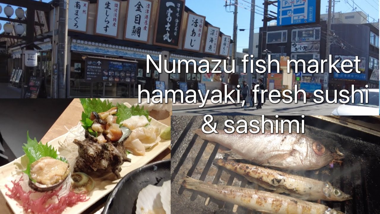 Numazu Fish Market walking with Hamayaki BBQ seafood, sushi and sashimi, Shizuoka Japan 沼津魚市場