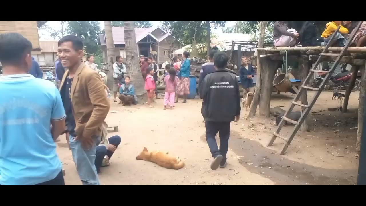 คลิปนีได้รับส้มส่งเจ้าสาวทียู่บ้านอาลอ๋งเด้อพีนอ้งfcทางลาย